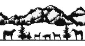 UCF_header_graphic.png